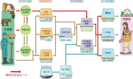 流通経路